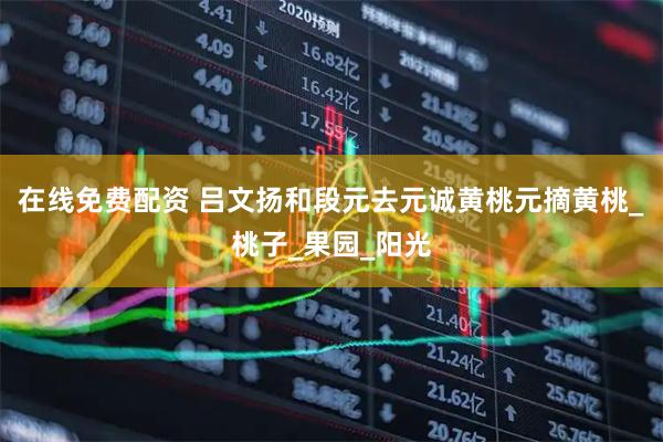 在线免费配资 吕文扬和段元去元诚黄桃元摘黄桃_桃子_果园_阳光